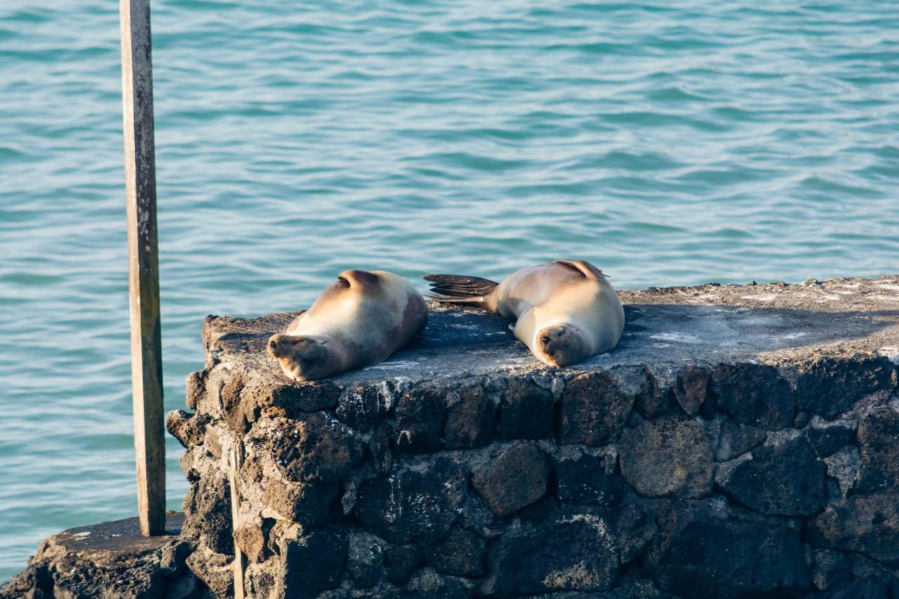 פורטו איורה Blu Galapagos Sustainable Waterfront Lodge מראה חיצוני תמונה